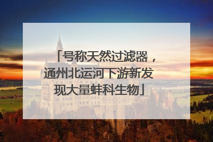号称天然过滤器，通州北运河下游新发现大量蚌科生物